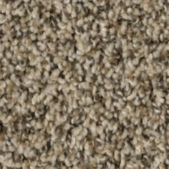 Fireworks II - Color Explosion Indoor 12 ft. Texture Multi-Colored Carpet (1080 sq. ft. / Roll) by TrafficMaster -Deals Flooring Luxe Store explosion trafficmaster roll carpet h2010 106 1200 d4 1000