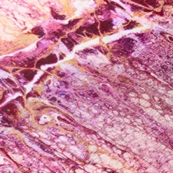 Copeland Flamingo 1 ft. 8 in. x 2 ft. 6 in. Abstract Accent Rug by Addison Rugs 19 Copeland Flamingo 1 ft. 8 in. x 2 ft. 6 in. Abstract Accent Rug by Addison Rugs -Deals Flooring Luxe Store flamingo addison rugs area rugs hdkc16fl20x30 fa 1000 1