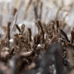 Verona 9 Khaki 5 FT. 3 IN. X 7 FT. 7 IN. Area Rug by Addison Rugs -Deals Flooring Luxe Store khaki addison rugs area rugs hdvc9kh5x8 fa 1000