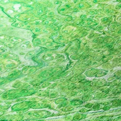 Copeland Lime 1 ft. 8 in. x 2 ft. 6 in. Abstract Accent Rug by Addison Rugs -Deals Flooring Luxe Store lime addison rugs area rugs hdkc5lm20x30 fa 1000 1