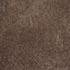 Field Day Brown Residential 18 in. x 18 Peel and Stick Carpet Tile (10 Tiles/Case) 22.50 sq. ft. by TrafficMaster 1 Field Day Brown Residential 18 in. x 18 Peel and Stick Carpet Tile (10 Tiles/Case) 22.50 sq. ft. by TrafficMaster -Deals Flooring Luxe Store rollins trafficmaster carpet tile ht001 5832 1818 64 1000