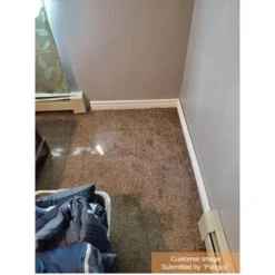 Field Day Brown Residential 18 in. x 18 Peel and Stick Carpet Tile (10 Tiles/Case) 22.50 sq. ft. by TrafficMaster -Deals Flooring Luxe Store rollins trafficmaster carpet tile ht001 5832 1818 d4 1000