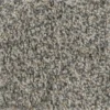 Prancer - Color Woodland Indoor 12 ft. Texture Beige Carpet (1080 sq. ft./Roll) by TrafficMaster