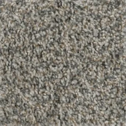 Prancer - Color Woodland Indoor 12 ft. Texture Beige Carpet (1080 sq. ft./Roll) by TrafficMaster